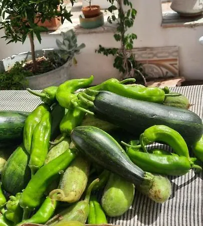 Prázdninový dům Trullo Pietrapoesia