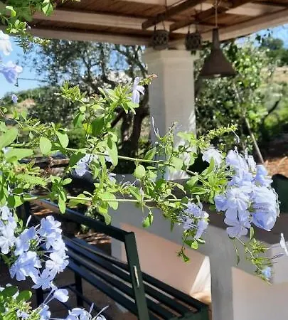 Trullo Pietrapoesia Dom wakacyjny Ostuni
