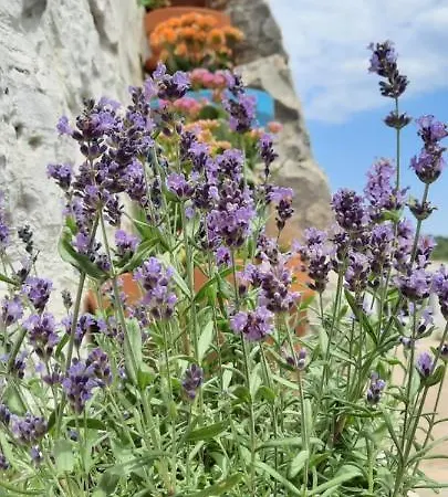 Trullo Pietrapoesia Dom wakacyjny
