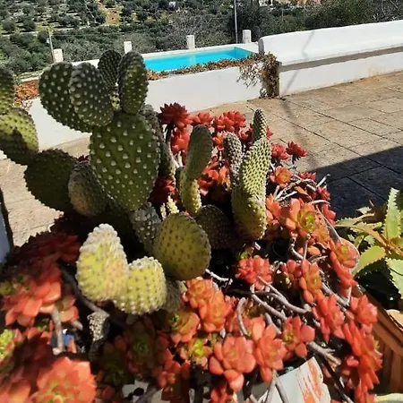 Prázdninový dům Trullo Pietrapoesia *