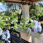 Trullo Pietrapoesia Semesterbostad Ostuni