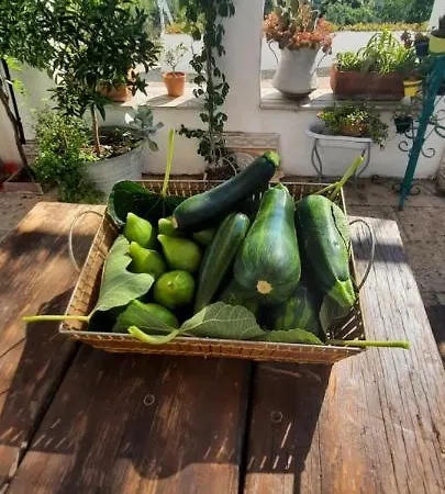 Holiday home Trullo Pietrapoesia *