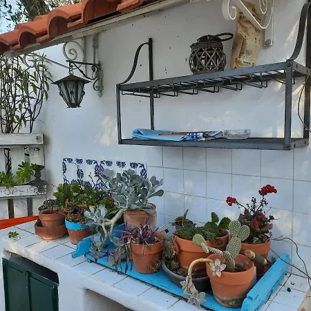 Holiday home Trullo Pietrapoesia *